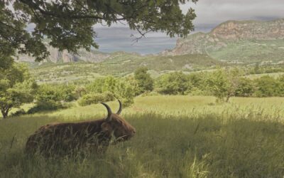 Séjour de répit et séjour de reconstruction : quelles différences ?