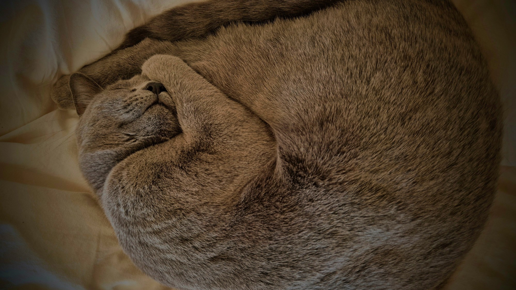 temps calme lors de séjours de répit et de reconstruction au Quinson