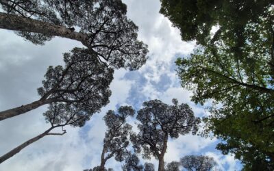 Comment la créativité peut-elle nous aider à redonner sens à notre vie ?