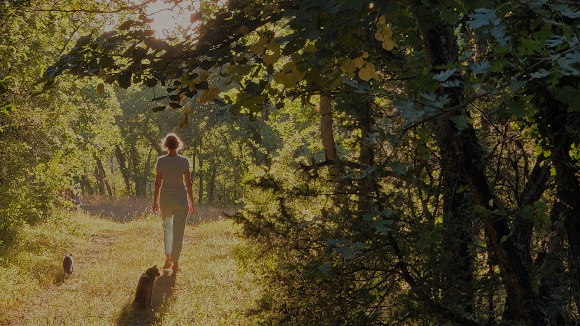 balades et randonnées lors de séjours de répit et de reconstruction au Quinson