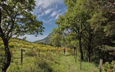 Quels sont les bienfaits de la nature lors d’un séjour de répit ?