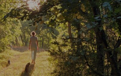 Le corps, un pilier dans nos vies et dans les séjours de répit et de reconstruction