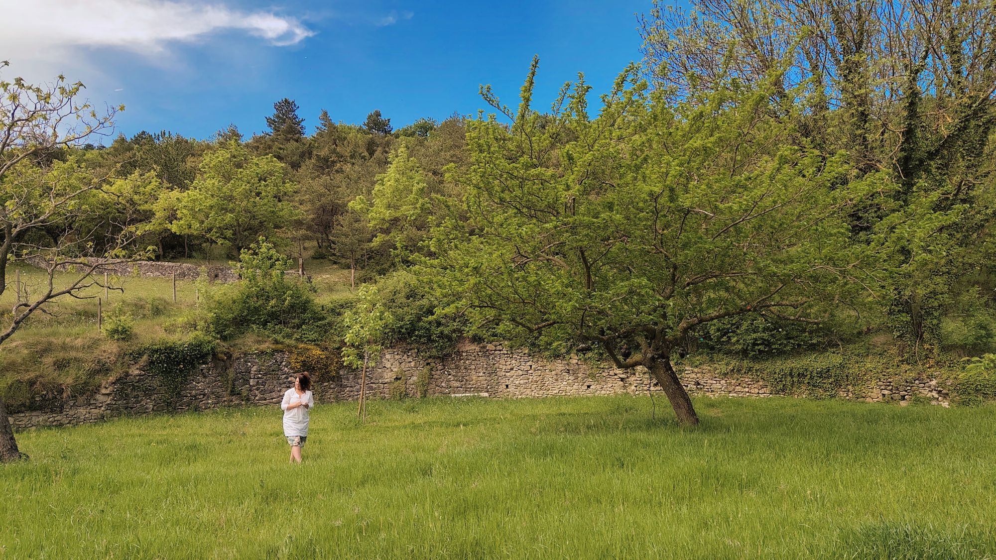 Jardin du Quinson en Drôme