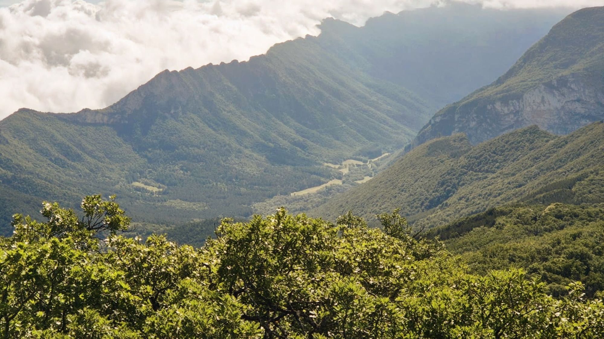 Vue de la vallée de Saoû au quinson en Drôme